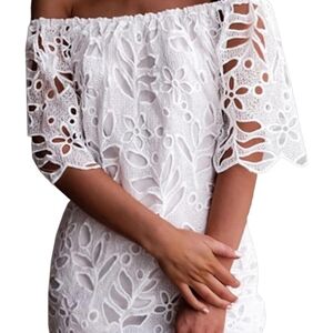 Chic Off-Shoulder Lace Dress